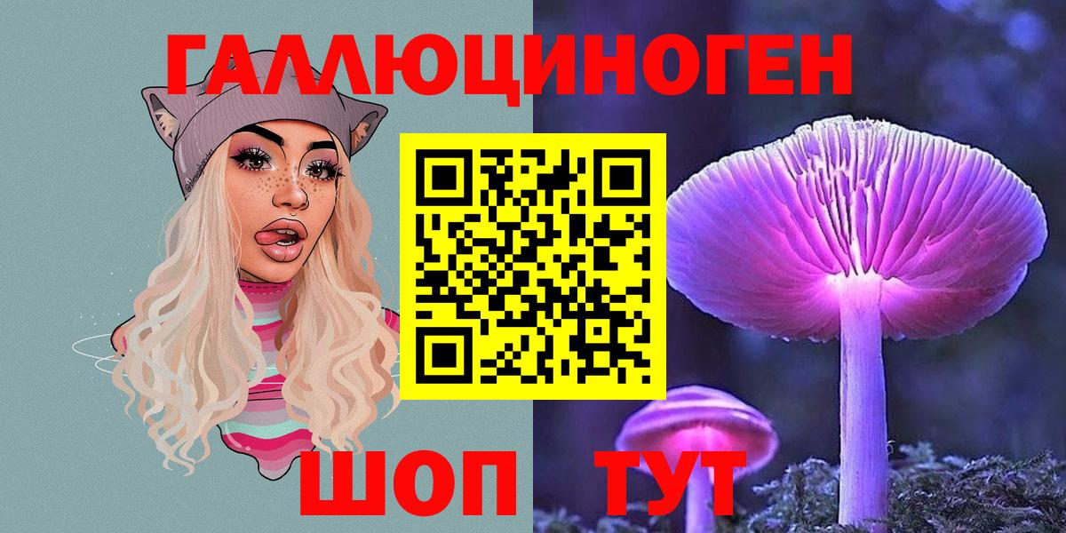 Галлюциногенные грибы прущие грибы  Вход с VPN  Гусиноозёрск 